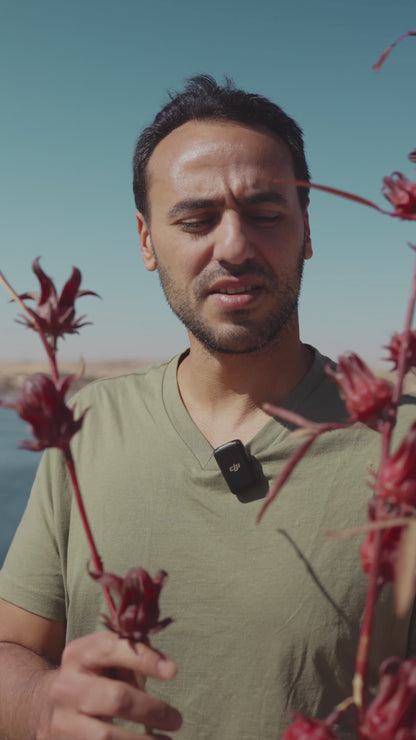 Organic Egyptian Hibiscus Tea